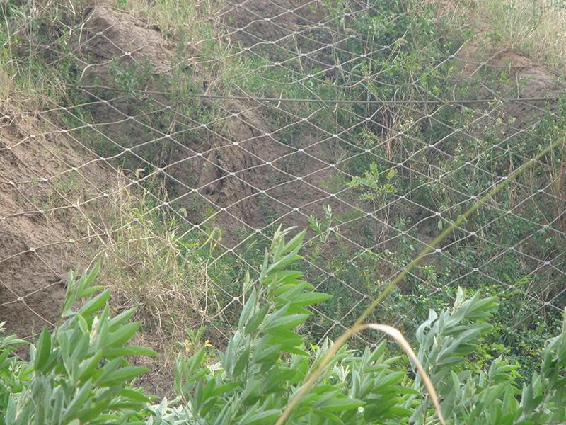 永州GAR2型主動防護網